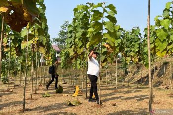 Bupati Bogor ajak masyarakat jaga kebersihan hutan kota
