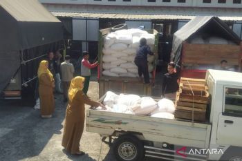 Dispaperkan Wonosobo salurkan 20 ton jagung bersubsidi kepada peternak mikro