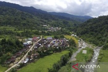 Jambi dukung perhutanan sosial masuk PSN upaya entaskan kemiskinan