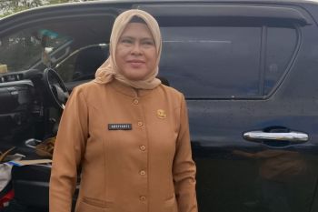 DPKPP Mimika  perluas TPU SP I