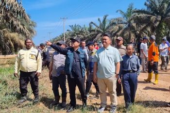 PemkabBengkayang kawal pemenuhan hak petani plasma Desa Karimunting