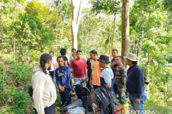 Kodim Agam ungkap ladang ganja di Palembayan, dua petani diamankan