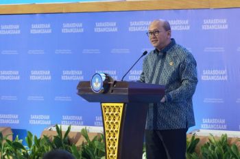 Indonesia secures $30M Japanese investment for plasma industry