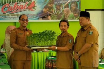 Kendalikan inflasi, NTB mulai gerakan tanam cabai di sekolah