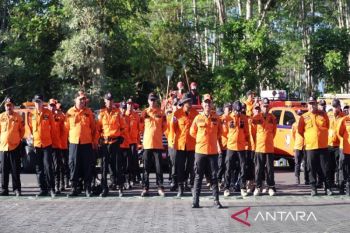 Tanah Bumbu perkuat sinergi dengan Pemprov Kalsel cegah Karhutla