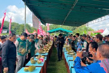 Honda Babel Hadirkan Promo Spesial di Tengah Pesta Durian Terbesar Bangka Barat