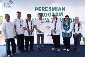 PLN bantu pengembangan budidaya jahe gajah untuk petani di Mempawah