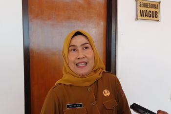 Pemprov Kepri urus pemberhentian 13 PPPK