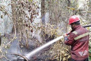 Balai Dalkarhut: Karhutla di Aceh Selatan mulai sisakan asap tipis