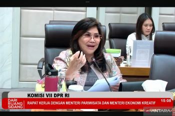 Komisi VII DPR minta Kemenekraf optimalkan skema pembiayaan pelaku ekraf