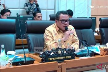 Komisi VII DPR minta pemda dan UMKM manfaatkan animo jelang final Piala Dunia
