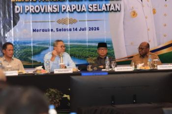 Menteri Zulhas sebut percepatan sentra pangan di Papua Selatan perlu disosialisasikan