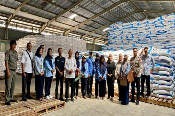 Tim KP3 Kulon Progo memastikan stok pupuk bersubsidi aman