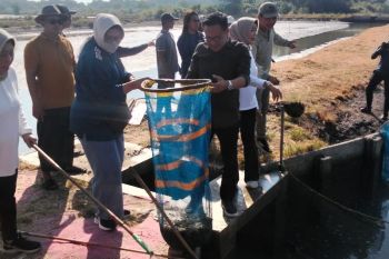 DPRD Surabaya apresiasi komitmen wali kota dukung ketahanan pangan