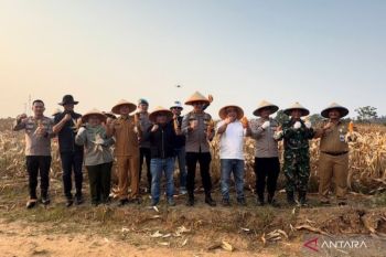 Polres Bekasi panen raya jagung dukung ketahanan pangan