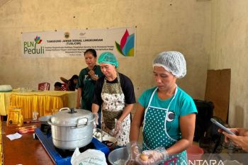 PLN perkuat ketahanan pangan budidaya spirulina di Minut
