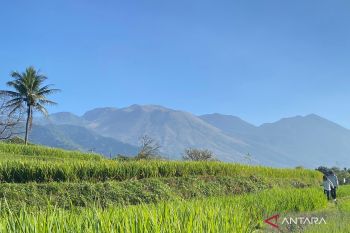 BBKSDA Jabar pastikan kebakaran di Gunung Guntur Garut tidak meluas