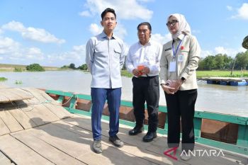 Wapres dorong percepatan pembangunan Jembatan Way Bungur Lampung