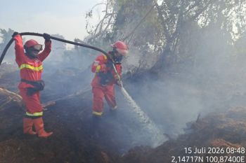 Manggala Agni tuntas padamkan karhutla 7,5 hektare di Kubu Rokan Hilir, Bagan Punak belum