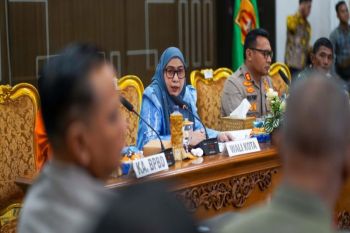 Wali Kota Lisa tetapkan status Banjarbaru siaga karhutla