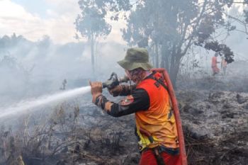 BPBD Kobar tangani 113,5 hektare kebakaran lahan