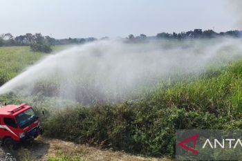 BNPB: Kebakaran kebun tebu di Jombang berhasil dipadamkan