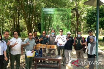 Tim gabungan di Bali gagalkan penyelundupan 124 ekor burung tanpa dokumen