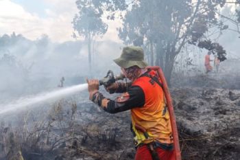 BPBD Kotawaringin Barat tangani karhutla 113,5 hektare