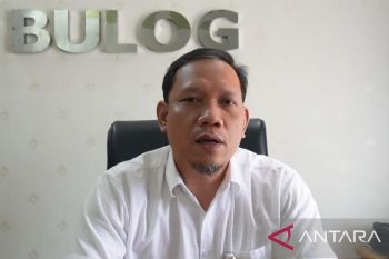 Bulog serap 3.300 ton gabah petani Bangka Selatan