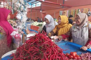 Pemkab Aceh Selatan pastikan harga pangan di pasaran stabil
