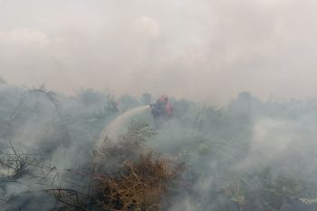 Dikepung asap tebal, Manggala Agni berjibaku padamkan karhutla 15 hektare di Pematang Pudu Bengkalis