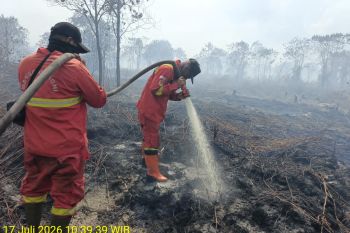 Manggala Agni: Karhutla di Bengkalis Riau meluas hingga 80 hektare
