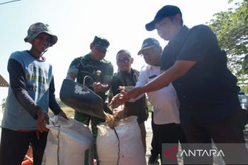 Indramayu target produksi padi tembus 1,6 juta ton pada 2026