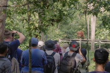 Maxi Tour Boemi Nusantara jelajah Tanjung Puting