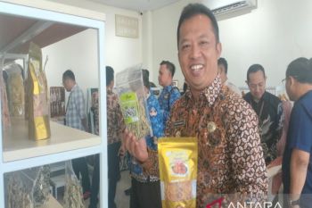 Pemkab Kulon Progo  berinovasi agar "geblek" naik kelas dan go global