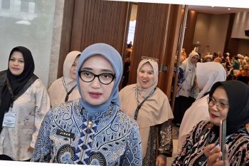 Wagub Lampung sebut hilirisasi singkong dongkrak kesejahteraan petani