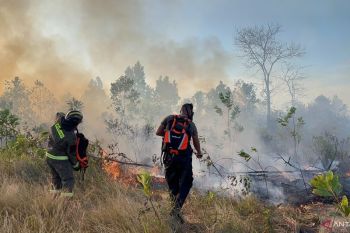 Tim Gabungan Polda Babel-Damkar padamkan karhutla seluas 4-5 hektare di Pangkalpinang