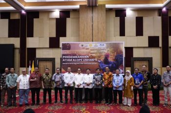 Unhas kembangkan Ayam Alope untuk ketahanan pangan