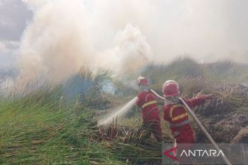 Kemenhut lakukan 107 operasi pemadaman karhutla di Kalsel