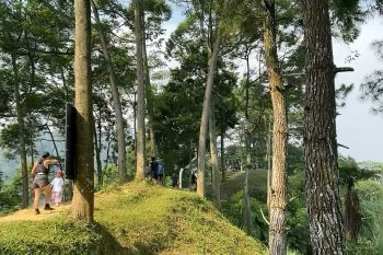 10 tempat treking di Bogor yang wajib dikunjungi, cocok untuk pemula
