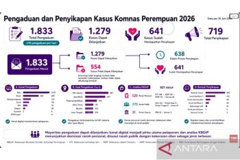 Pengaduan kekerasan ke Komnas Perempuan tertinggi dari Jakarta