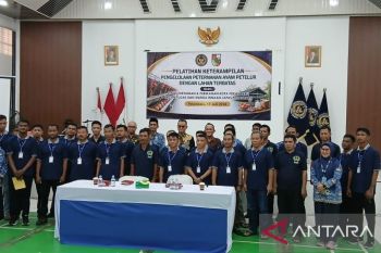 Lapas Kelas II A Pekanbaru gelar pelatihan peternakan ayam petelur untuk tingkatkan keterampilan Warga Binaan