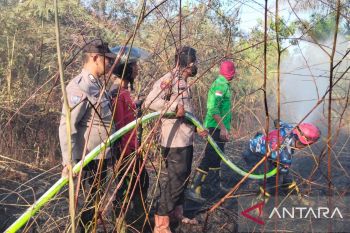 Pemkab Penajam perkuat kewaspadaan terhadap ancaman kebakaran saat kemarau