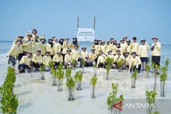 Jaga Pesisir, PHI tanam 1.500 mangrove dan Lamun perkuat iklim