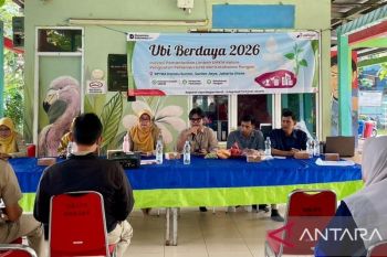 Ubi berdaya: Pertamina Patra Niaga JBB dorong ketahanan pangan kota