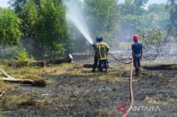 Damkar Bangka berhasil padamkan kebakaran lahan seluas 5 hektare