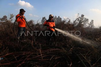 Tim gabungan padamkan karhutla di Kubu Raya