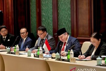 Indonesia invites Chinese investors to solar power plant projects