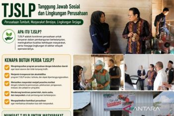 Dewan ingatkan sinergi pemerintah dan swasta dorong lahir UMKM
