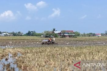 Bupati Sidrap kerahkan mobil tangki mengairi sawah